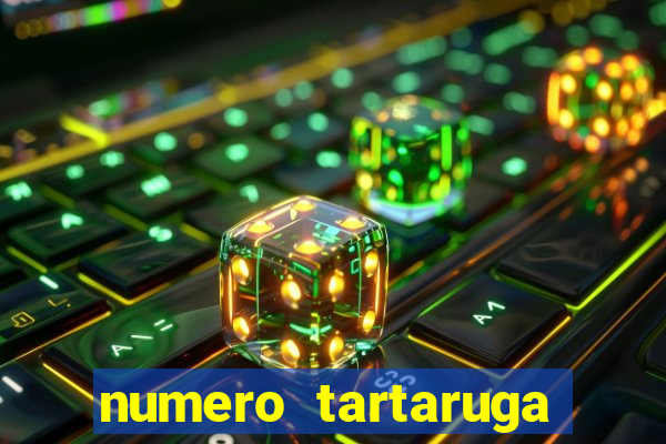 numero tartaruga jogo do bicho